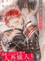 香漫画《山茶花开时》封面